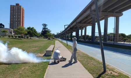 El municipio realiza operativos de fumigación en espacios verdes