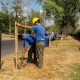 El municipio avanza con la plantación de árboles en barrios de todos los distritos